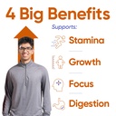 power-shake-teen-boys-13-yrs-height-stre-81NvOZ5oRNL.jpg