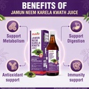multani-neem-karela-jamun-juice-1l-helps-81LqjYAJ5sL.jpg