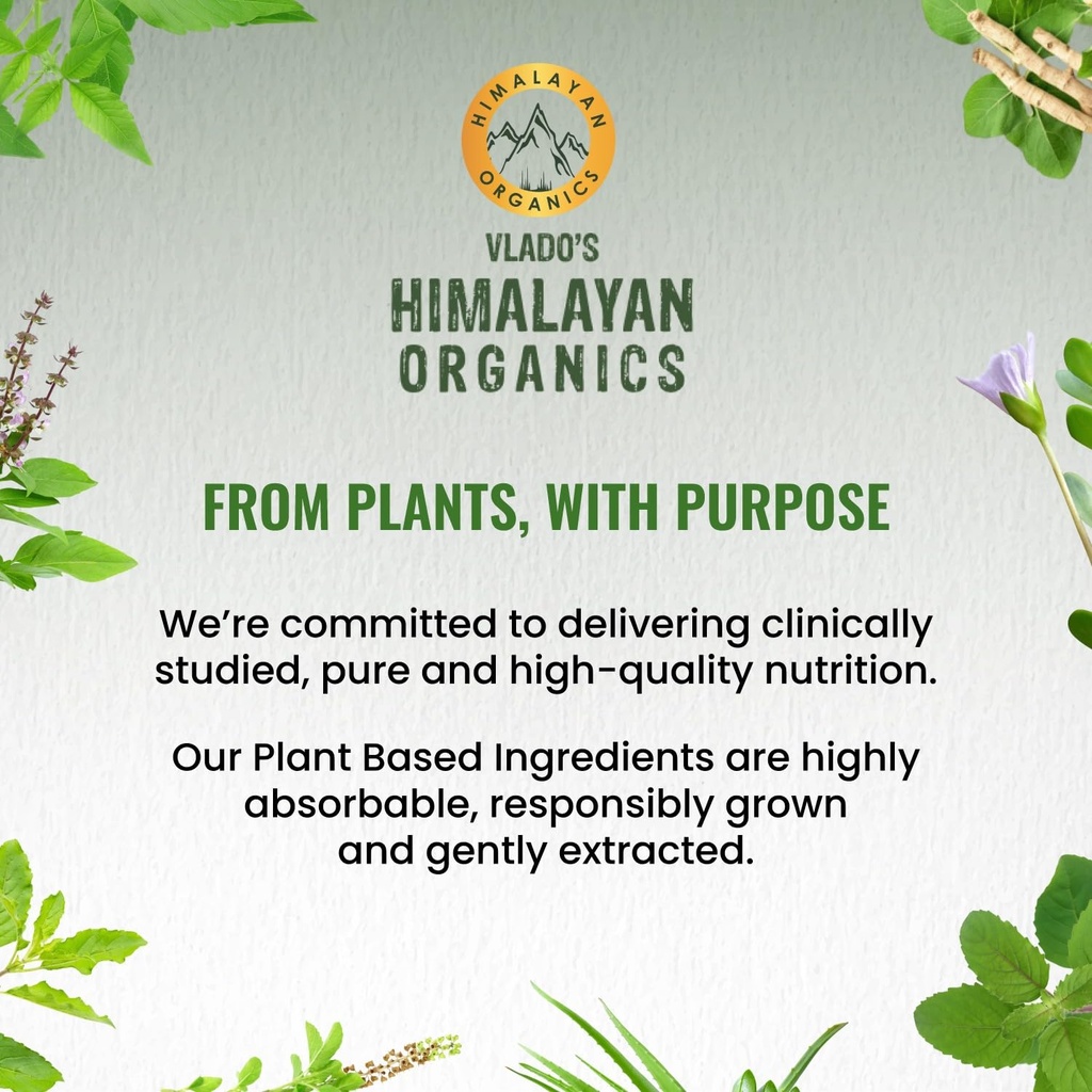 vlado-s-himalayan-organics-milk-thistle--71TJI5IEB9L.jpg