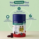 gritzo-immunity-gummies-for-2-6y-boy-gir-71c9YpRXi0L.jpg