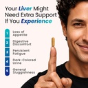 liver-support-capsules-for-adults-liver--617PrpGmeRL.jpg