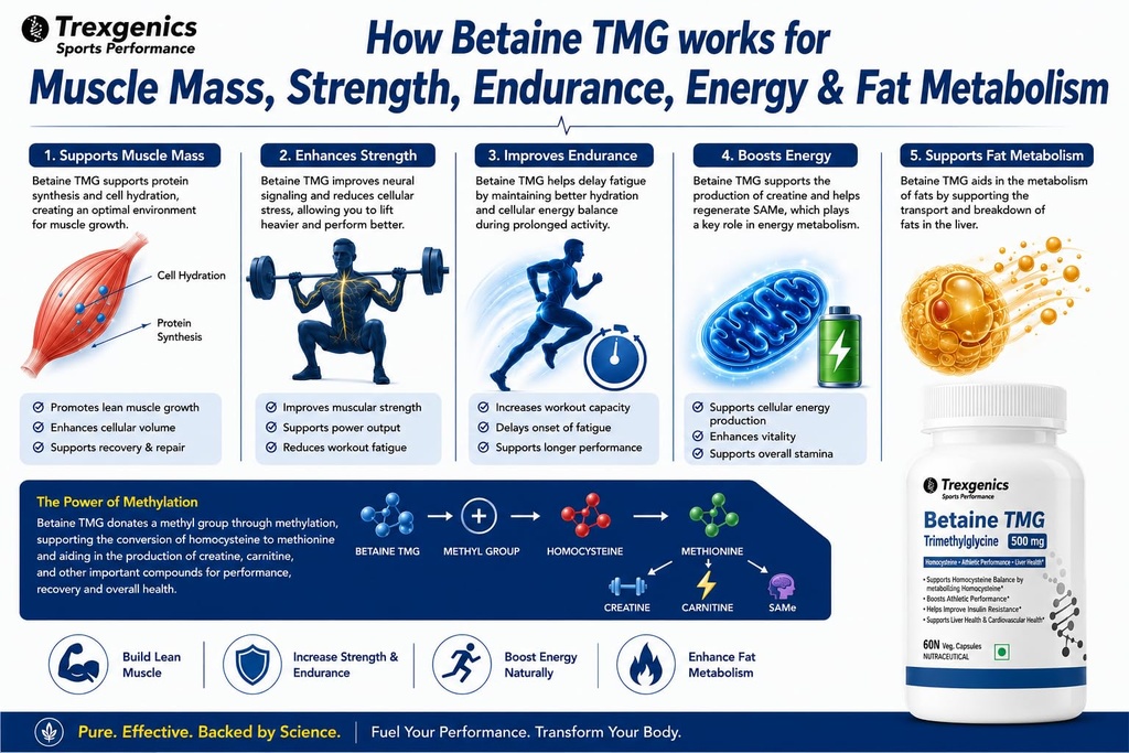 trexgenics-betaine-tmg-trimethyglycine-5-71s9q2+mCCL.jpg