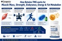 trexgenics-betaine-tmg-trimethyglycine-5-71s9q2+mCCL.jpg