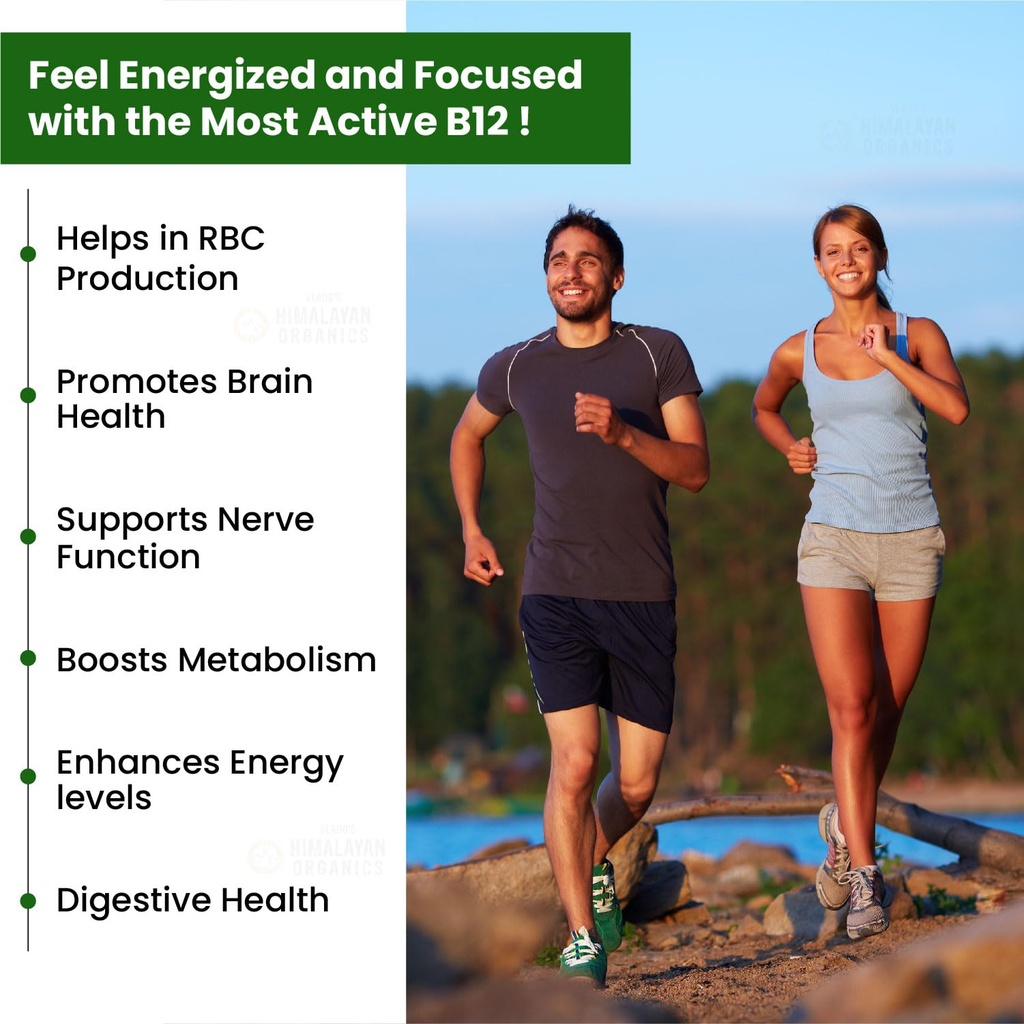 vlado-s-himalayan-organics-vitamin-b12-s-715bSwsJB9L.jpg