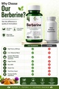 berberine-with-milk-thistle-cinnamon-tur-71Om04poVEL.jpg