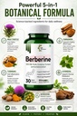 berberine-with-milk-thistle-cinnamon-tur-71tWs1WlogL.jpg