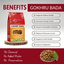 birju-mahavir-gokhru-bada-pedalium-murex-81+eZOk7ZBL.jpg