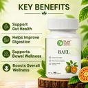 pure-nutrition-bael-tablets-bael-fruit-j-81WrB4WyoYL.jpg