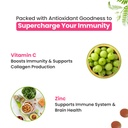 naturyz-natural-vitamin-c-gummies-with-a-61m-4kNjMJL.jpg