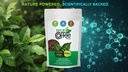 vokin-biotech-organic-green-coffee-beans-71GrIpgenQL.jpg