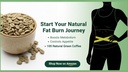 vokin-biotech-organic-green-coffee-beans-71JYGRnCjQL.jpg