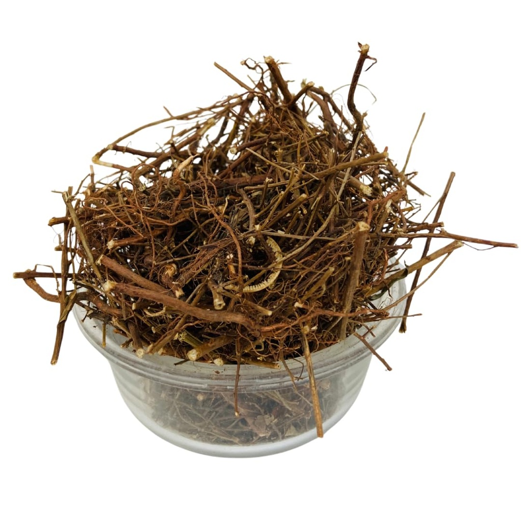 bhumi-amla-raw-125-g-bhui-amla-phyllanth-6153a-dVfZL.jpg