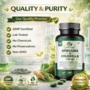 spirulina-chlorella-tablets-pack-of-2-gr-81IDpZzfDvL.jpg