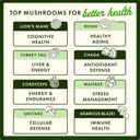 swanson-herbs-turkey-tail-mushroom-500mg-61sbf+0gBhL.jpg