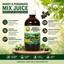 basic-ayurveda-makoy-punarnava-mix-juice-71KT3N29ClL.jpg