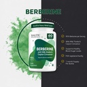 berberine-hcl-supplement-95-with-milk-th-61FCvVTbLkL.jpg