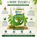 tulsi-leaves-powder-300g-7119xTvtaZL.jpg
