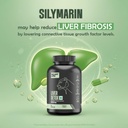 beastlife-liver-detox-with-pure-milk-thi-61w8fpW9hML.jpg