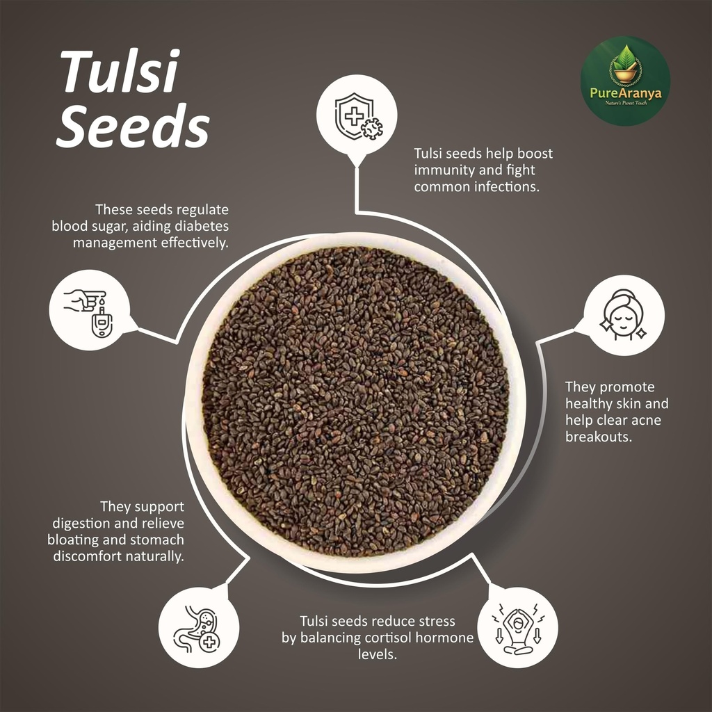 purearanya-natural-tulsi-seeds-100g-boos-81kYfXKrTeL.jpg