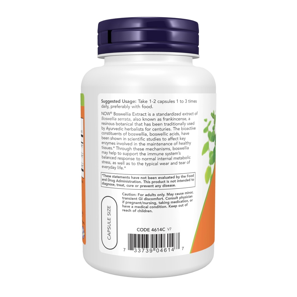 now-foods-boswellia-extract-120-caps-250-71XERblRZyL.jpg