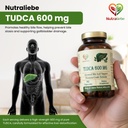tudca-600-mg-tauroursodeoxycholic-acid-a-61NzYA0ORIL.jpg