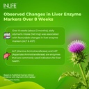 inlife-milk-thistle-800mg-per-serving-80-81R6UIM0b9L.jpg