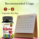 setnutra-berberine-with-milk-thistle-cin-61WlwQtuC6L.jpg