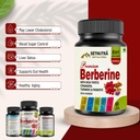setnutra-berberine-with-milk-thistle-cin-61HLPp3AktL.jpg