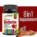 setnutra-berberine-with-milk-thistle-cin-61DF3+TuaWL.jpg