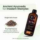 liver-kidney-revitalizer-detox-support-i-71ZSFLllKeL.jpg