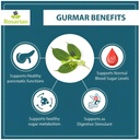 live-medicinal-gurmar-plant-gudmar-madhu-61sw0L85xHL.jpg