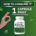 biotrex-nutraceuticals-kelp-extract-600m-71u0qopCy5L.jpg