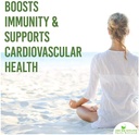 shudh-online-spirulina-powder-organic-20-71BX2NQxaIL.jpg
