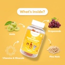 kids-multi-vitamin-sugar-free-gummies-wi-511jVL1m0wL.jpg