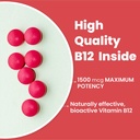 vlado-s-himalayan-organics-vitamin-b12-t-71b3ek4Af2L.jpg