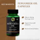 digestive-enzymes-fenugreek-oil-wellness-61UlBREwBqL.jpg