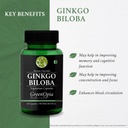 ginkgo-biloba-flax-seed-oil-digestive-en-617d5b7IeaL.jpg