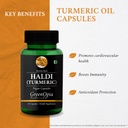 digestive-enzymes-haldi-oil-wellness-dai-61g9ErbRsHL.jpg
