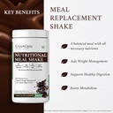 digestive-enzymes-nutritional-meal-shake-61wmLVeC9KL.jpg