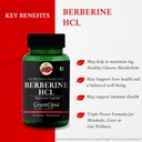 berberine-hcl-digestive-enzymes-wellness-61AXHhT7-oL.jpg