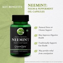 digestive-enzymes-neemint-oil-wellness-d-61sgukM5bQL.jpg