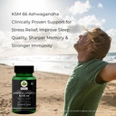 ashwagandha-ksm66-digestive-enzymes-well-71J7kXLMWcL.jpg