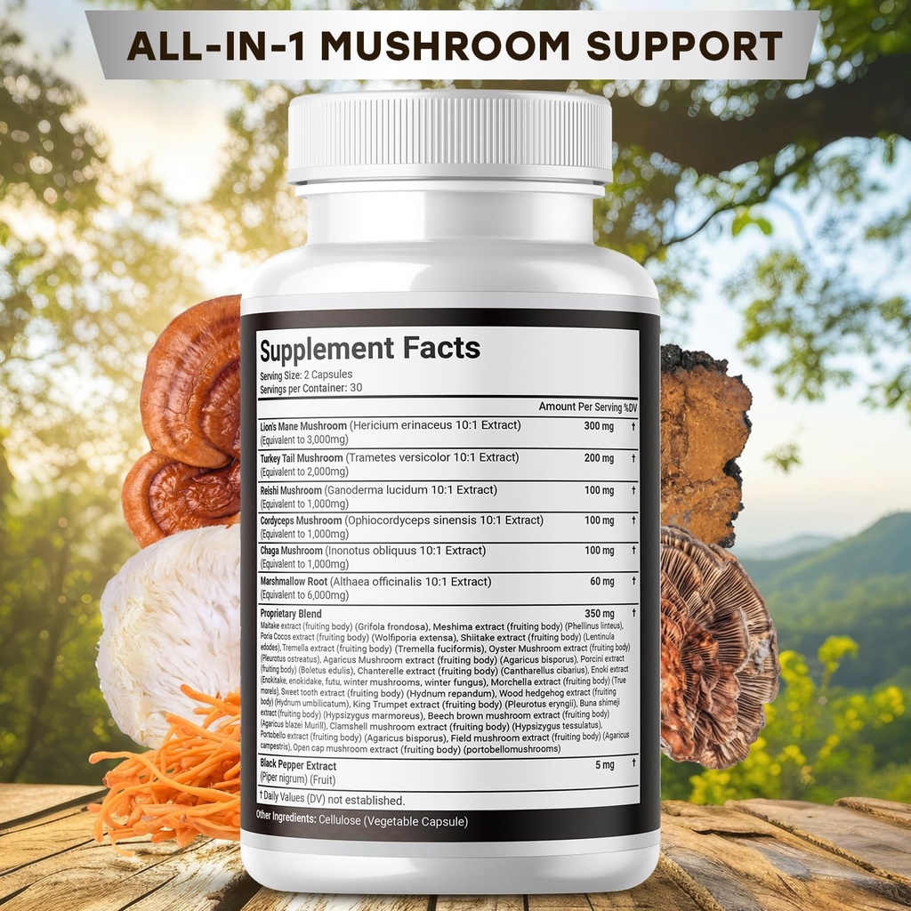 lions-mane-supplement-cognitive-support--2.jpg