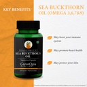 digestive-enzymes-sea-buckthorn-oil-well-61ch1HRKLpL.jpg