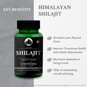 digestive-enzymes-shilajit-wellness-dail-61IBxXn5i-L.jpg