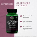 bc-caps-vaginal-grape-seed-extract-welln-61reQ13cZLL.jpg