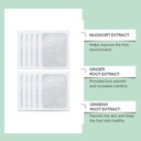 herbal-foot-pads-with-bamboo-vinegar-nat-51gq2TKrhCL.jpg