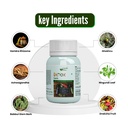 detox-capsule-natural-body-detox-digesti-81NYchd8IcL.jpg