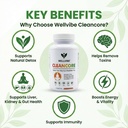 clean-core-ayurvedic-detox-capsules-500m-81SNfvkoBIL.jpg