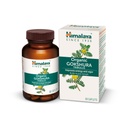 himalaya-organic-gokshura-pack-of-60-61c5Db8dQ1L.jpg